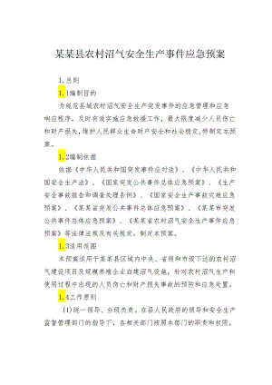 某某县农村沼气安全生产事件应急预案.docx