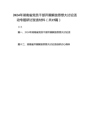 2024年湖南省党员干部开展解放思想大讨论活动专题研讨发言材料（共15篇）.docx
