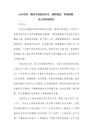 2024年在“推动干部担当作为、狠抓落实”专项部署会上的讲话范文.docx