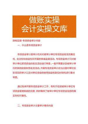财税实操-专项资金审计内容.docx