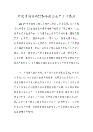 市交通运输局2024年安全生产工作要点.docx