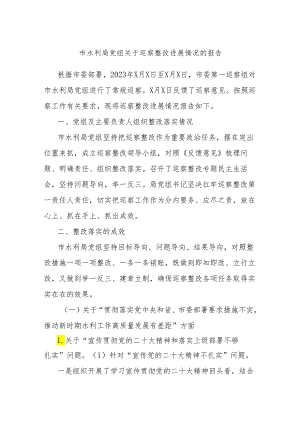 市水利局党组关于巡察整改进展情况的报告.docx