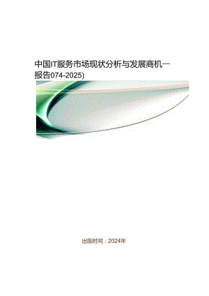 中国IT服务市场现状分析与发展商机研究报告(2024-2025).docx