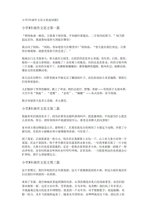 新小学3年级作文范文优选56篇.docx