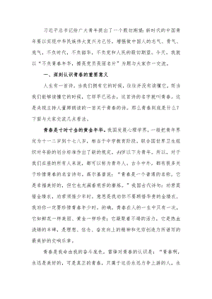不负青春年华擦亮党员亮丽名片青年党员干部学习讲稿.docx