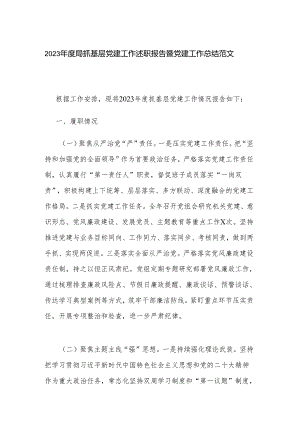 2023年度局抓基层党建工作述职报告暨党建工作总结范文.docx