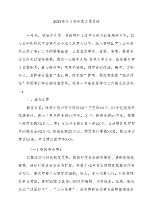 2023年审计局年度工作总结.docx