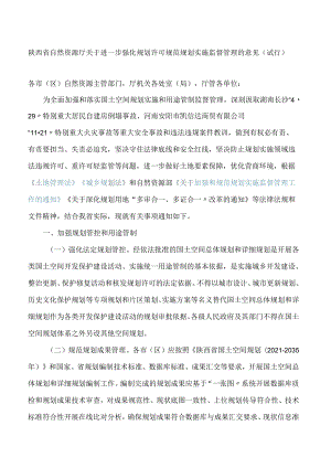 陕西省自然资源厅关于进一步强化规划许可规范规划实施监督管理的意见(试行).docx