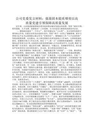 公司党委发言材料：强基固本 提质增效 以高质量党建引领保障高质量发展.docx