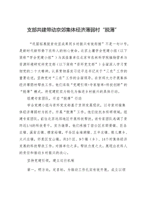 支部共建带动京郊集体经济薄弱村“脱薄”.docx