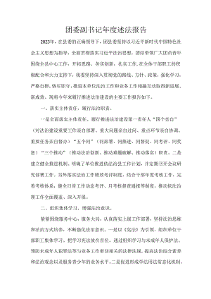 团委副书记年度述法报告.docx