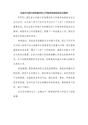 全省乡村振兴系统建设和工作推进电视电话会议精神.docx