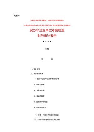 民办非企业单位审计报告模板.docx