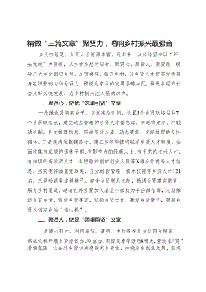 经验做法：精做“三篇文章”聚贤力唱响乡村振兴最强音.docx