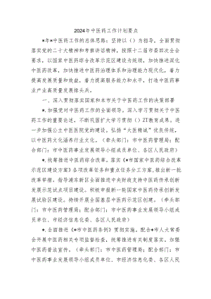 2024年中医药工作计划要点.docx