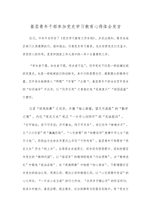 基层青年干部参加党史学习教育心得体会发言.docx