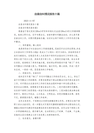 自查自纠情况报告十篇.docx