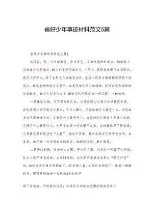省好少年事迹材料范文5篇.docx