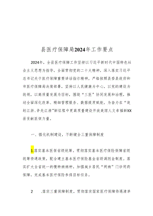 县医疗保障局2024 年工作要点.docx