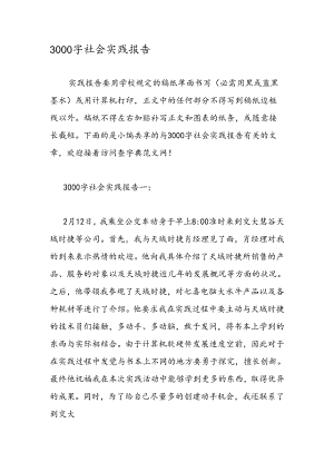 3000字社会实践报告.docx