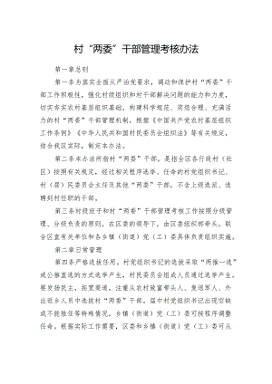 【计划方案】村“两委”干部管理考核办法.docx