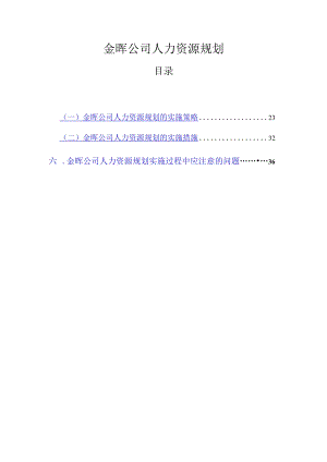 X咨询企业-金晖-人力资源规划咨询报告.docx