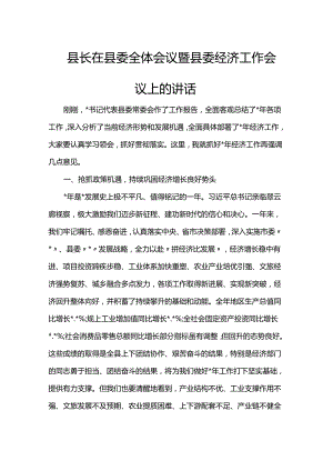 县长在县委全体会议暨县委经济工作会议上的讲话.docx