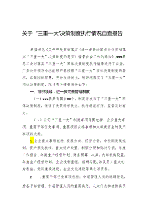 关于“三重一大”决策制度执行情况自查报告 二.docx