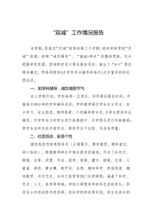 2024学校贯彻落实“双减”政策情况报告(10篇).docx