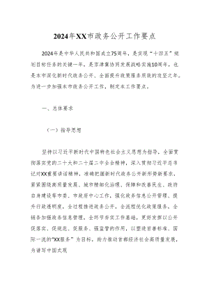 2024年XX市政务公开工作要点.docx