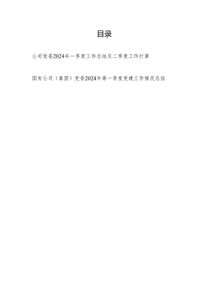 国企公司党委2024年第一季度（党建）工作总结第二季度工作打算.docx
