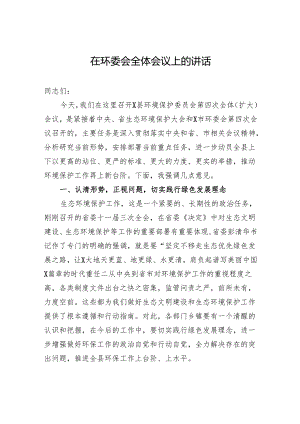 在环委会全体会议上的讲话.docx