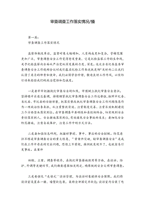 审查调查工作落实情况八篇.docx