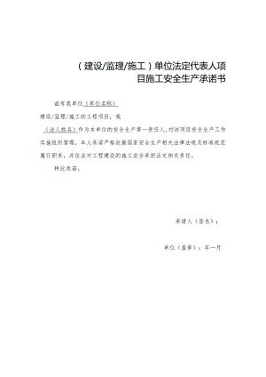 （建设监理施工）单位法定代表人、项目负责人项目施工安全生产承诺书.docx