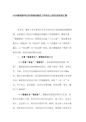 2024镇党委书记在党组织建设工作会议上的交流发言汇篇.docx