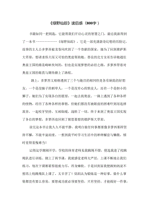 《绿野仙踪》读后感（800字）.docx