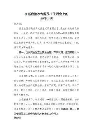 在巡察整改专题民主生活会上的点评讲话.docx