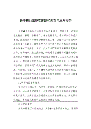 耕地恢复实施路径调查与思考报告.docx