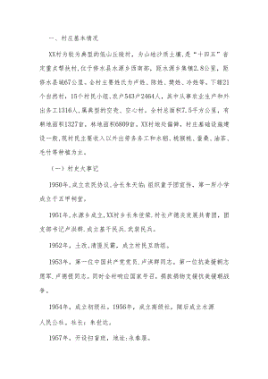 村综合村情情况报告.docx