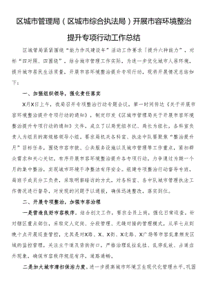 区城市管理局（区城市综合执法局）开展市容环境整治提升专项行动工作总结.docx