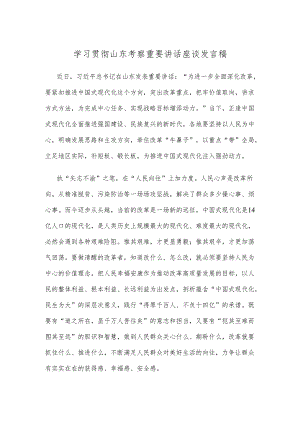 学习贯彻山东考察重要讲话座谈发言稿.docx