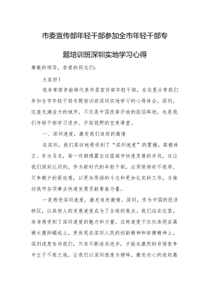 市委宣传部年轻干部参加全市年轻干部专题培训班深圳实地学习心得.docx