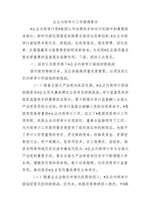 企业内部审计工作强调要求.docx