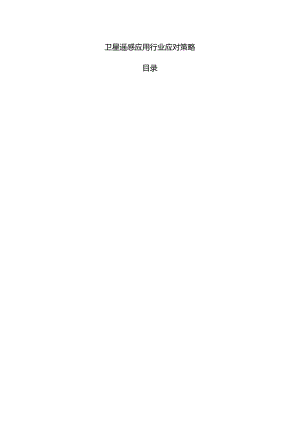 卫星遥感应用行业应对策略.docx