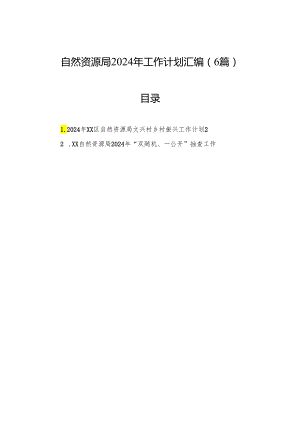 自然资源局2024年工作计划汇编（6篇）.docx