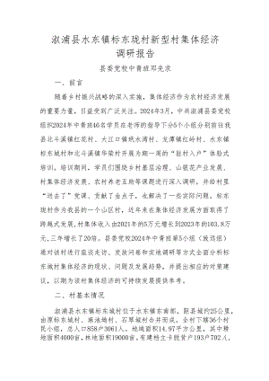 村新型村集体经济调研报告.docx
