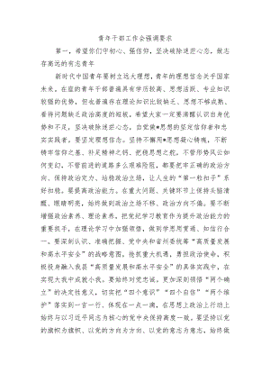 青年干部工作会强调要求.docx