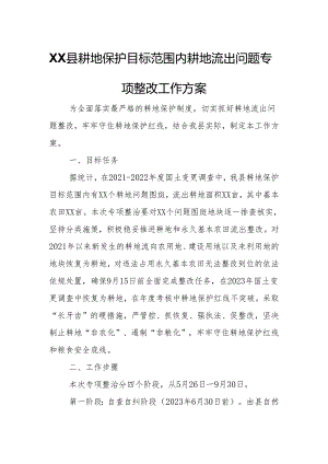 XX县耕地保护目标范围内耕地流出问题专项整改工作方案.docx