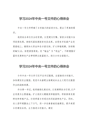 驻村干部学习2024年中央一号文件的心得感悟23篇.docx