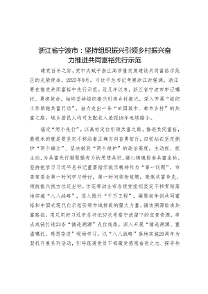浙江省宁波市：坚持组织振兴引领乡村振兴 奋力推进共同富裕先行示范.docx